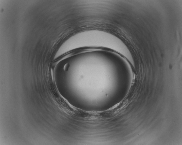 X0000067910412200604131348