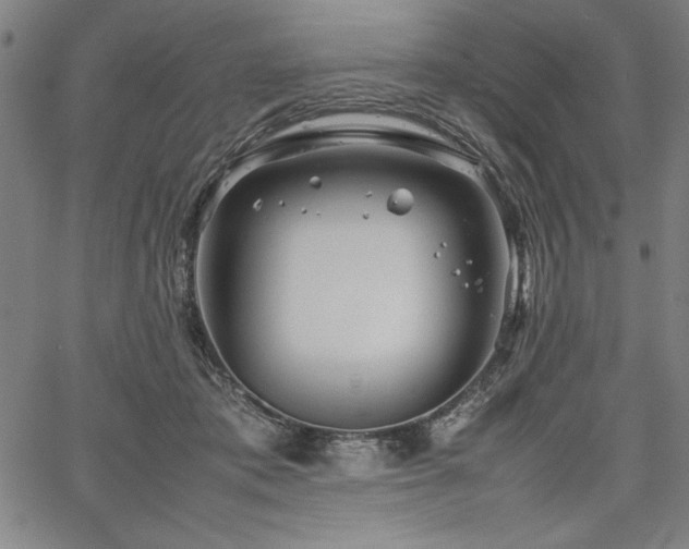 X0000067910413200604131348