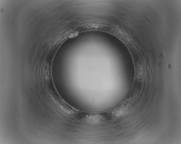 X0000067910414200604131348