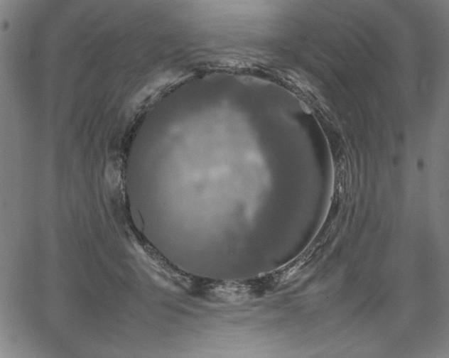 X0000067910415200604131348