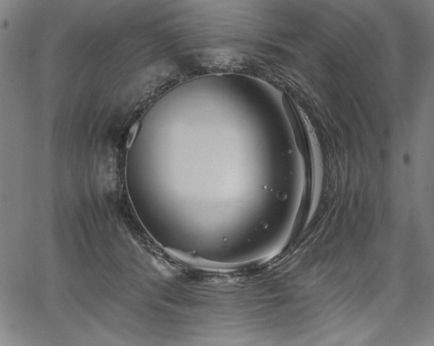 X0000067910416200604131348