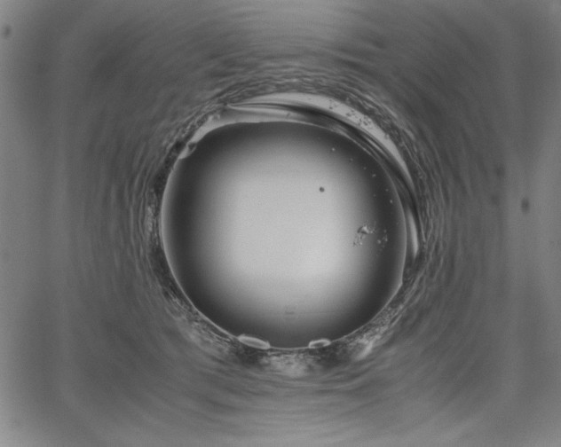 X0000067910417200604131348