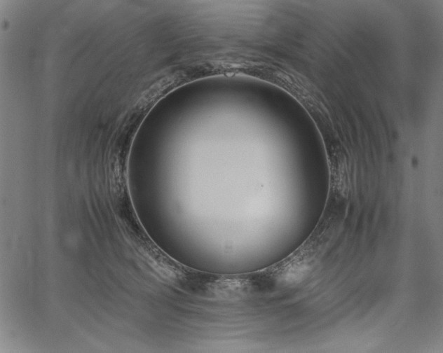 X0000067910418200604131348