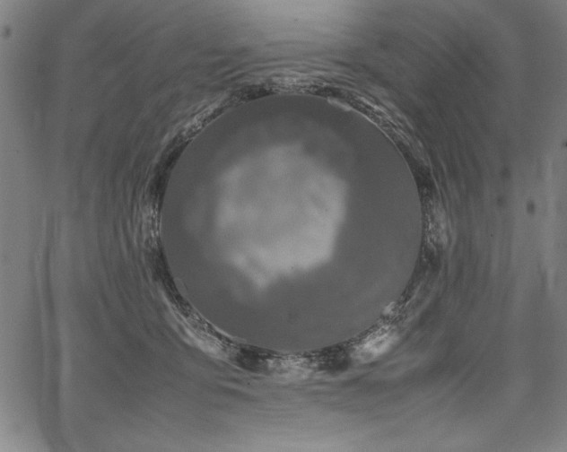 X0000067910419200604131348