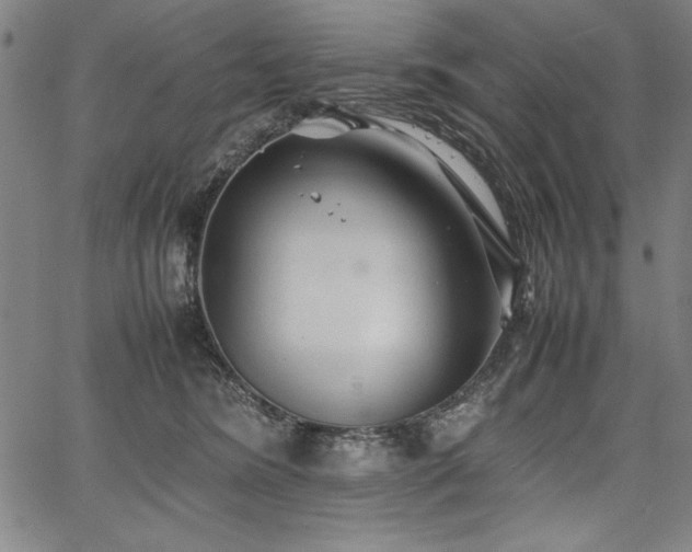 X0000067910420200604131348