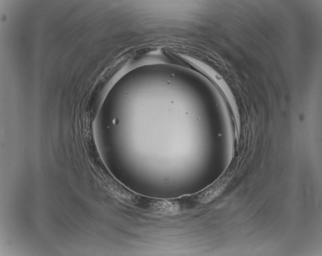 X0000067910421200604131348