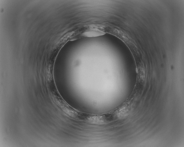 X0000067910422200604131348