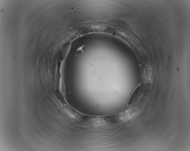 X0000067910424200604131348