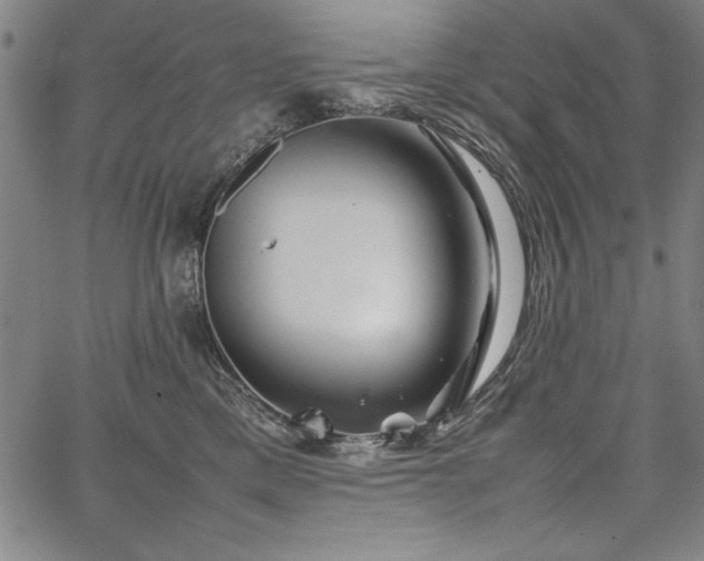 X0000067910425200604131348