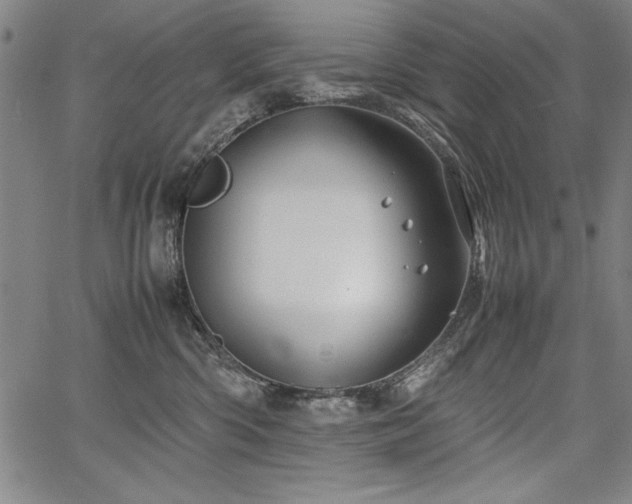 X0000067910426200604131348