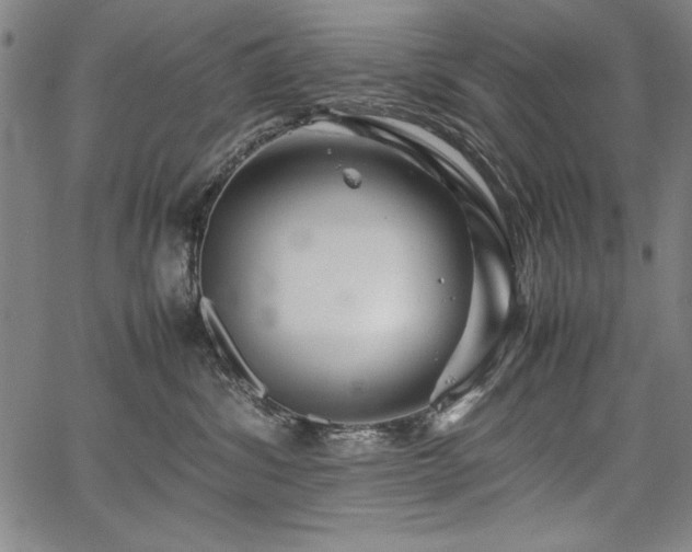 X0000067910428200604131348