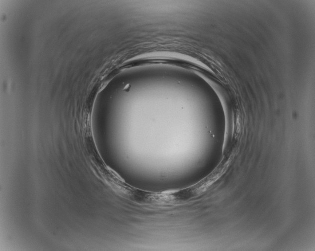 X0000067910429200604131348