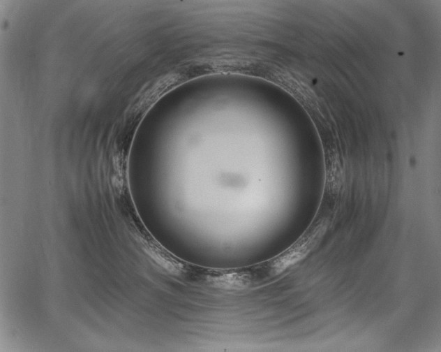 X0000067910430200604131348