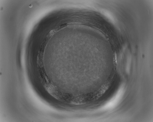 X0000067910431200604131348