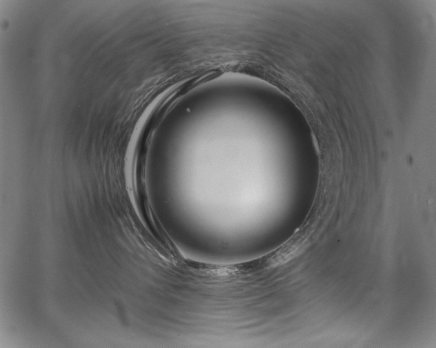 X0000067910432200604131348