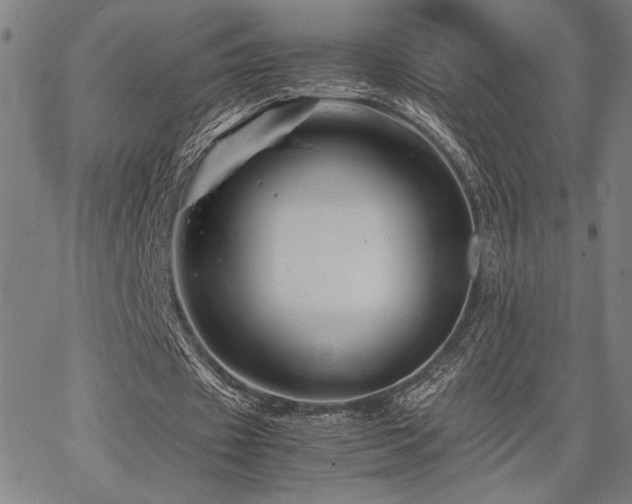 X0000067910433200604131347