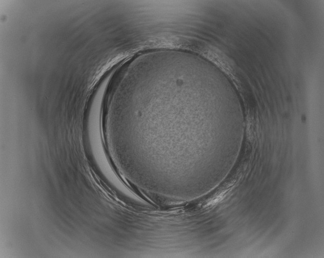 X0000067910434200604131347