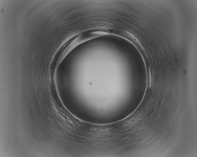 X0000067910435200604131347