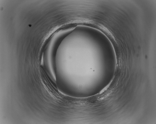 X0000067910436200604131347