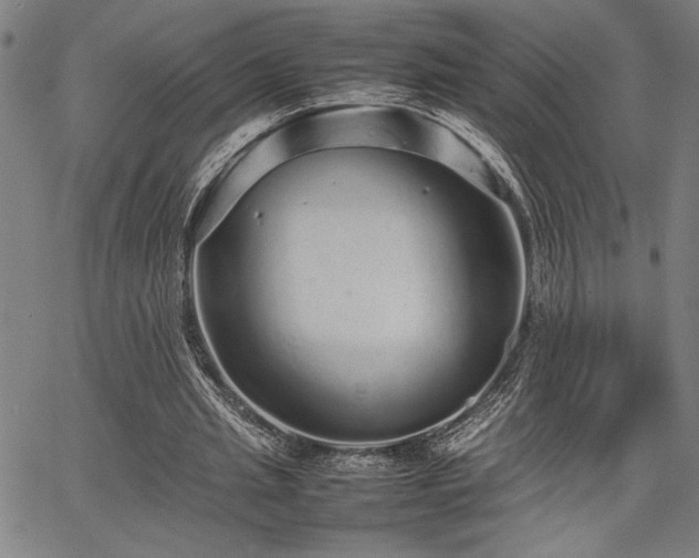 X0000067910437200604131347