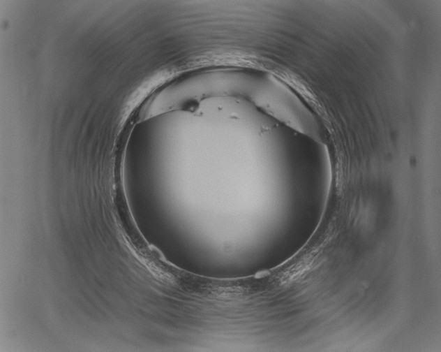 X0000067910438200604131347