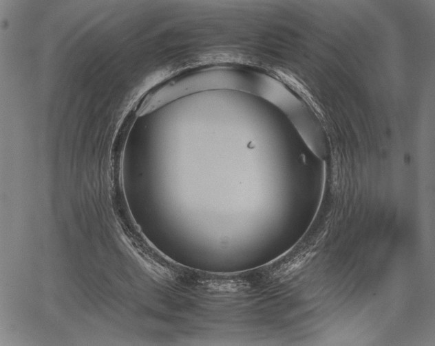 X0000067910439200604131347