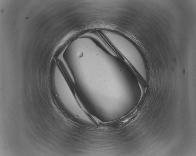 X0000067910440200604131347