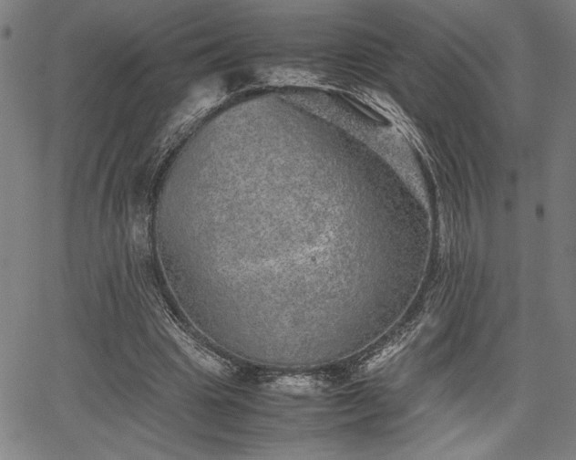 X0000067910441200604131347