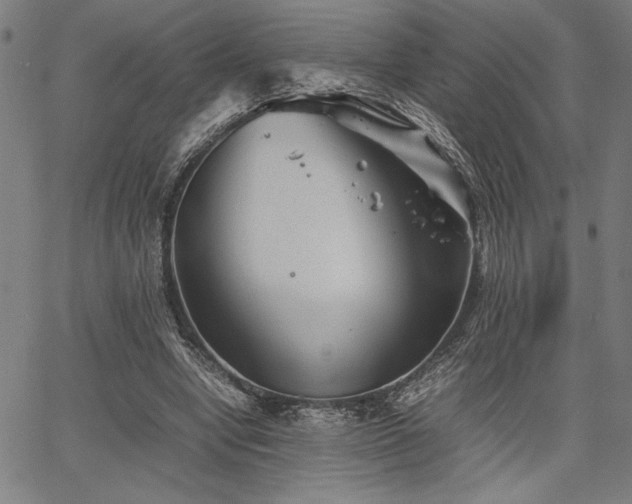 X0000067910442200604131347