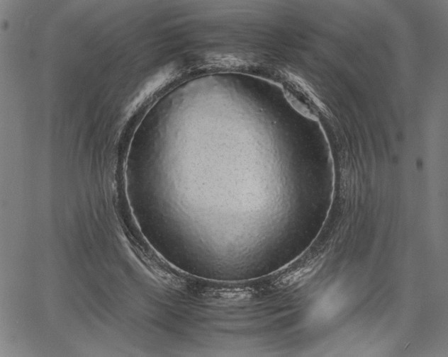 X0000067910443200604131347