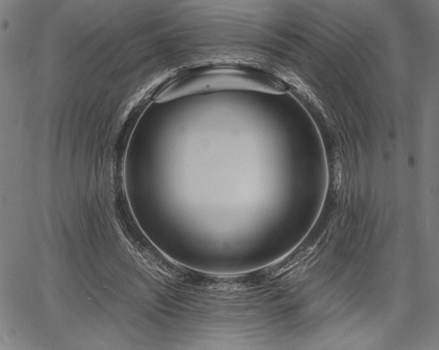 X0000067910444200604131347