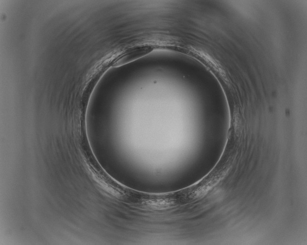 X0000067910445200604131347