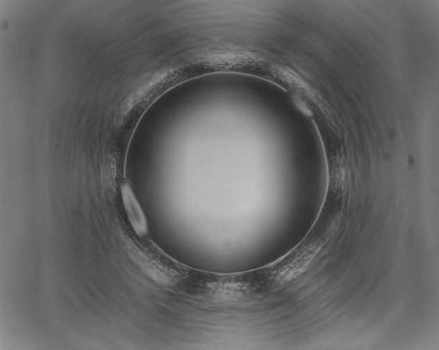 X0000067910448200604131347