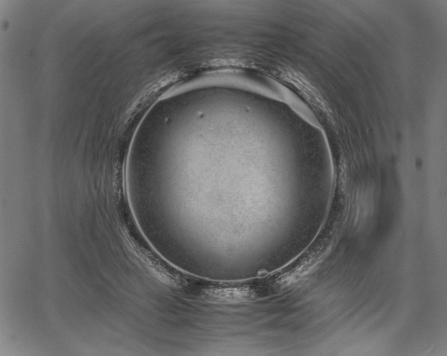 X0000067910449200604131347