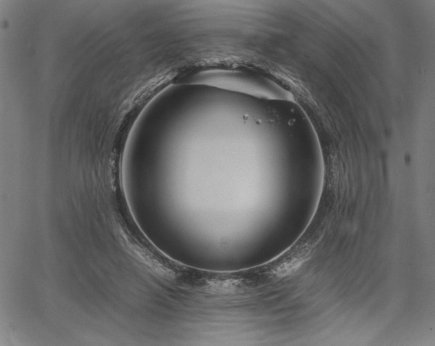 X0000067910450200604131347