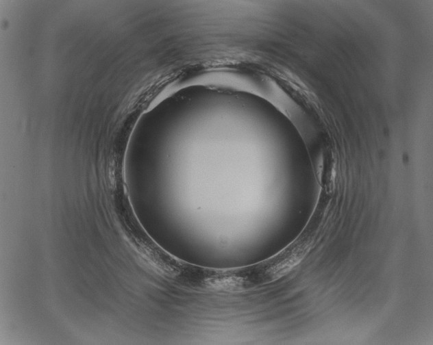 X0000067910452200604131347