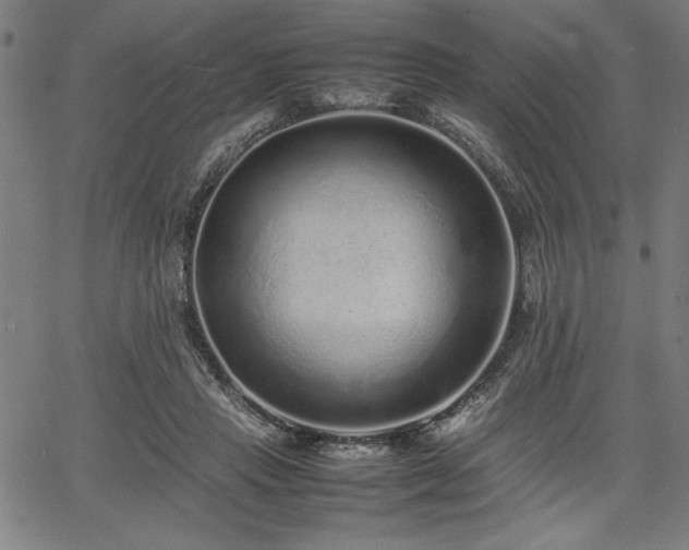 X0000067910453200604131347