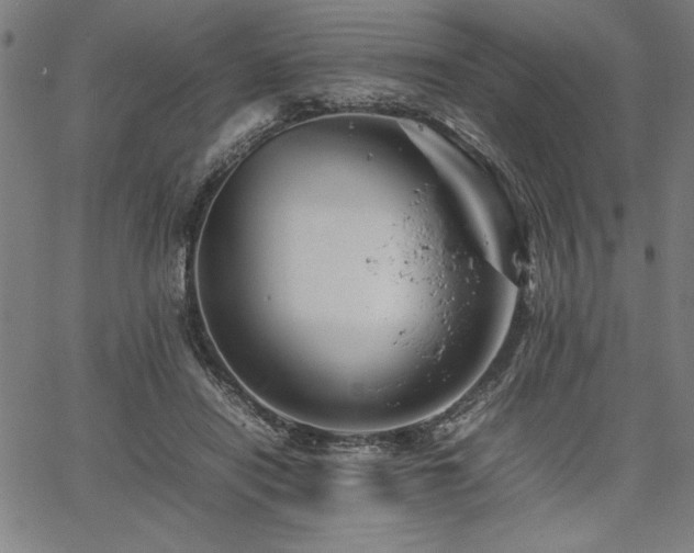 X0000067910454200604131347