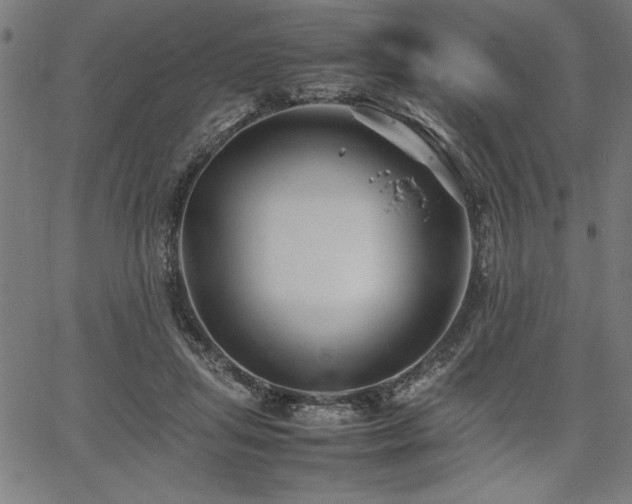 X0000067910455200604131347