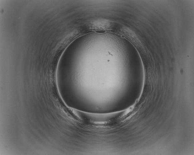 X0000067910457200604131347