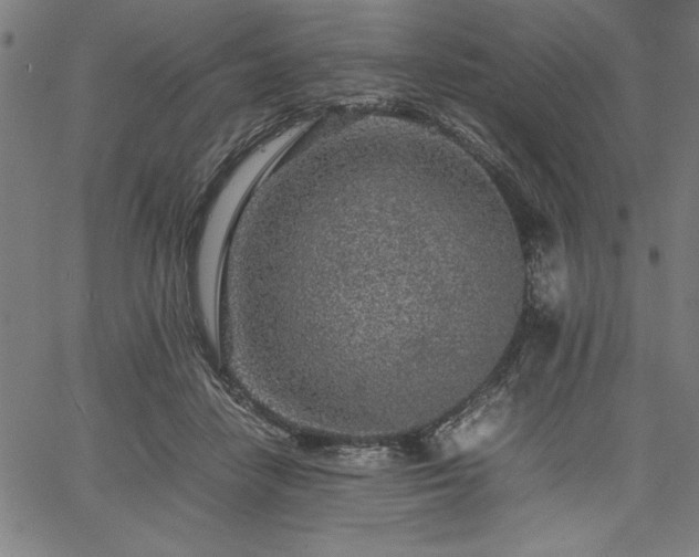 X0000067910458200604131347