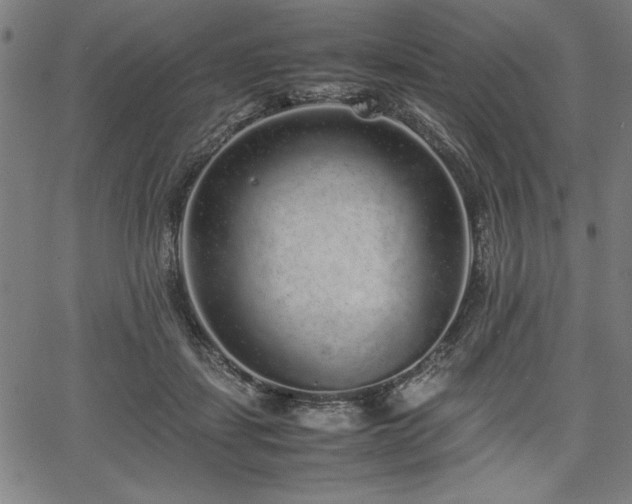 X0000067910459200604131348