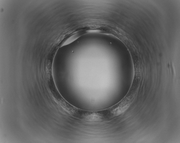 X0000067910460200604131348