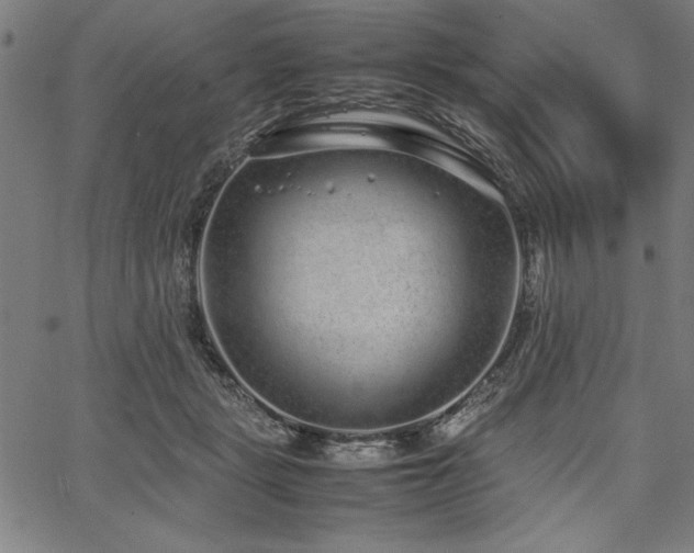 X0000067910461200604131348