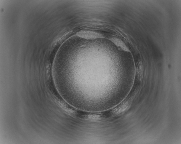 X0000067910462200604131348