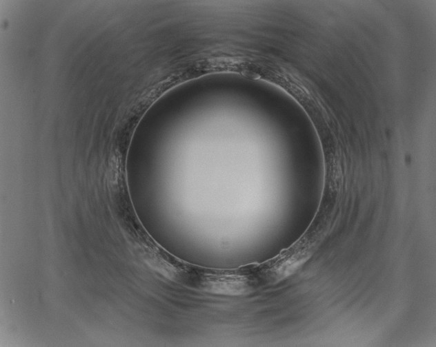 X0000067910463200604131348