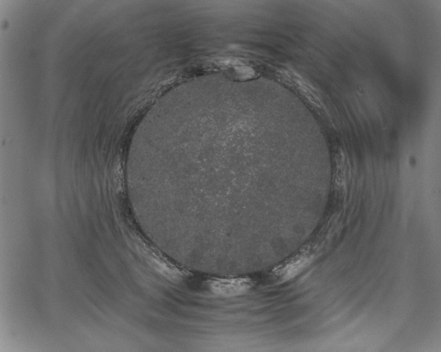 X0000067910465200604131348