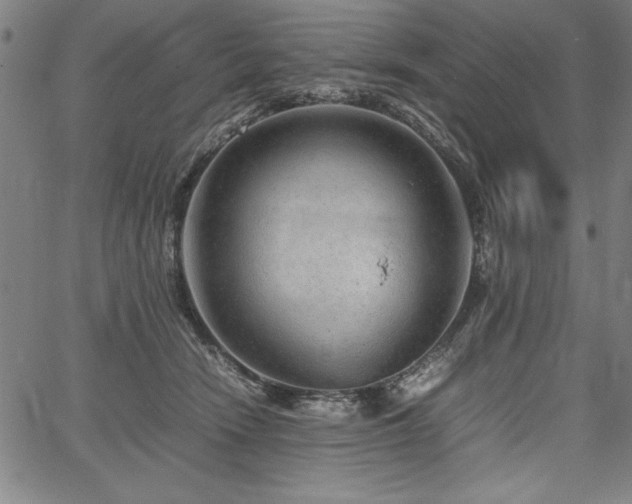 X0000067910466200604131348