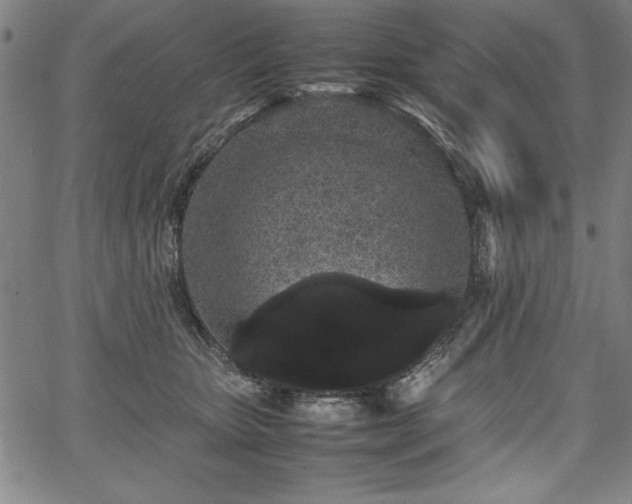 X0000067910467200604131348