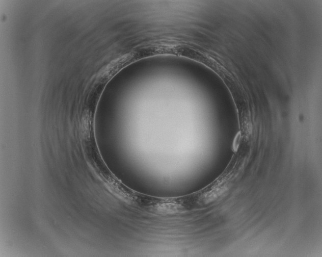 X0000067910468200604131348